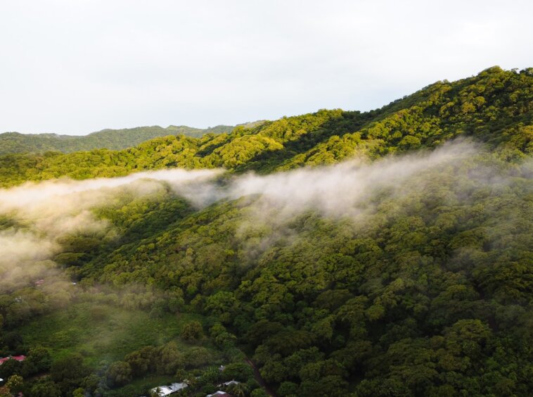 Photo by Frames For Your Heart green trees on mountain during daytime